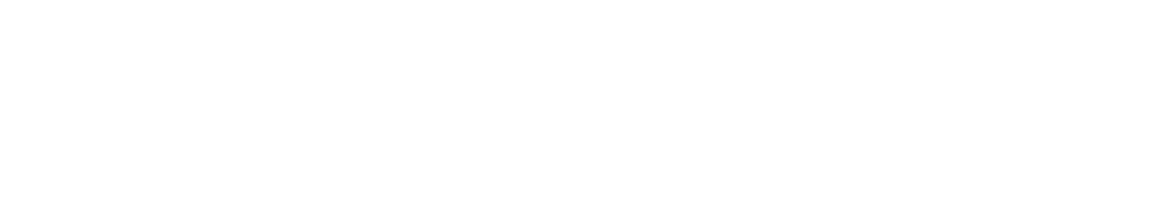 Minimalist